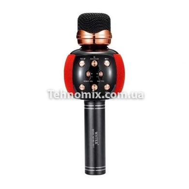 Микрофон караоке беспроводной DM Karaoke WS 2911 с колонкой/FM радио/Bluetooth Красный