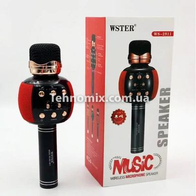 Мікрофон караоке бездротовий Karaoke DM WS 2911 з колонкою/FM радіо/Bluetooth Червоний