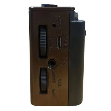 Радио с аккумулятором RX-921BT Golon Коричневое