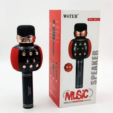 Мікрофон караоке бездротовий DM Karaoke WS 2911 з колонкою/FM радіо/Bluetooth Червоний