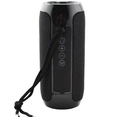 Колонка беспроводная Portable BT Speaker TG-117 Черная