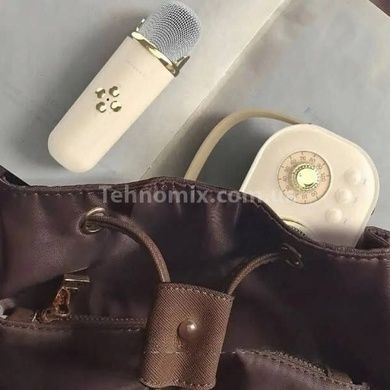 Караоке з мікрофоном на акумуляторі Ретро Bluetooth Бежевий