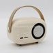 Караоке з мікрофоном на акумуляторі Ретро Bluetooth Бежевий