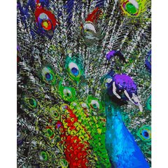 Картина по номерам Strateg ПРЕМИУМ Разноцветные перья павлина размером 40х50 см (GS171)