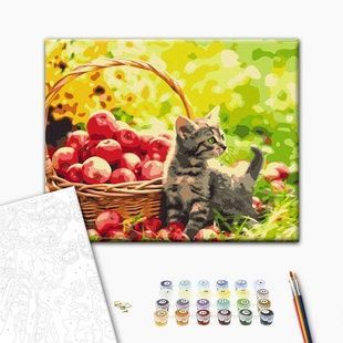 Картина за номерами Яблучний котик BS52657