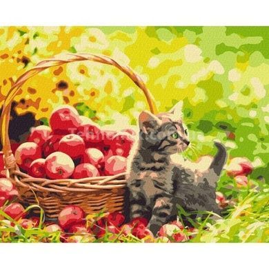 Картина за номерами Яблучний котик BS52657