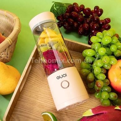Блендер USB juicing cup BSY002 Рожевий