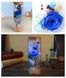 Троянда в колбі з LED підсвічуванням Велика №A52 синя