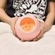 Нічник LITTLE PET HOUSE BLUETOOTH SPEAKER Рожевий