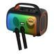 Bluetooth-колонка аккумуляторная с 2 микрофонами USB, TF-карта, AUX GD-2609 Черная