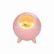 Нічник LITTLE PET HOUSE BLUETOOTH SPEAKER Рожевий