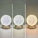 Світильник настільний декоративний Star Moon Table Lamp Золото