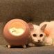 Нічник LITTLE PET HOUSE BLUETOOTH SPEAKER Рожевий