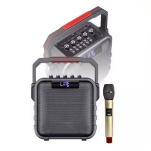 Bluetooth-колонка аккумуляторная с микрофоном USB, TF-карта, AUX Temeisheng SL 05-26 Черная
