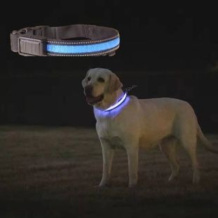 Нашийник для собак світлодіодний LED розмір M Синій