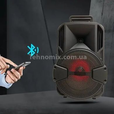 Колонка KIMISO KS-M1 BT с проводным микрофоном (8'BASS / 1000W)