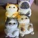 Сквіш-антистрес Котик сидить 11*16см Pinch Family Триколірний