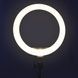 Світлодіодне селфі-кільце LED Light XD-260 26 см