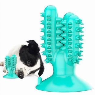 Іграшка для собак Bronzedog PetFun Dental кактус на присосці Бірюзова