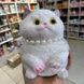 Сквиш-антистресс Котик сидит 11*16см Pinch Family Белый с серым