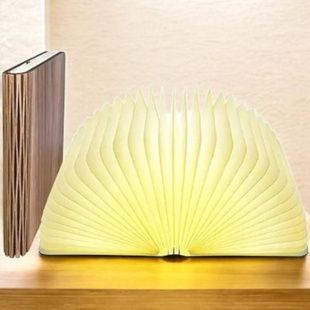 Ночник Книжка 170х125х25мм USB Светлая обложка