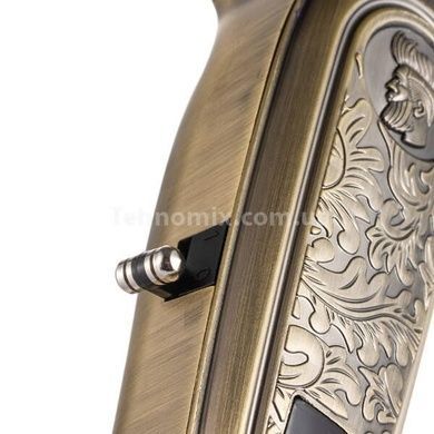 Машинка для стрижки волос со сменными насадками USB R.4037 RAF Золото