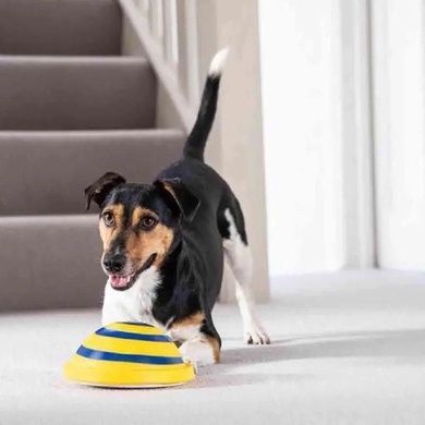 Игрушка для домашних собак WOOF GLIDER