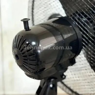Настільний вентилятор Rainberg RB-9307 Чорний