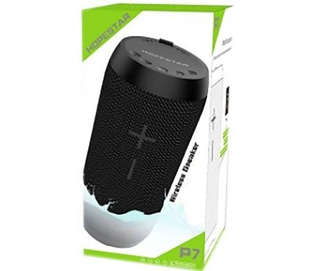 Портативна Bluetooth колонка Hopestar P7 Камуфляж