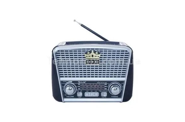 Радіоприймач RX-BT455S Golon FM Чорний