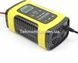 Зарядний пристрій для автомобільного акумулятора Foxsur 12V 4-100AH