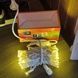 Гірлянда вулична лінійна 5м 80led 220V 4481 AND 4-20 Білий провід, тепле світло