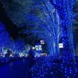 Гірлянда лінійна вулична 50м 800Led 220V 800lblue Синє світло, зелений провід