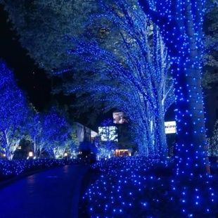Гірлянда лінійна вулична 50м 800Led 220V 800lblue Синє світло, зелений провід