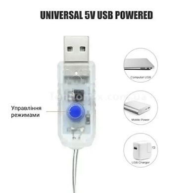 Гірлянда світлодіодна мідна з прищіпками 20шт USB 3м Біла