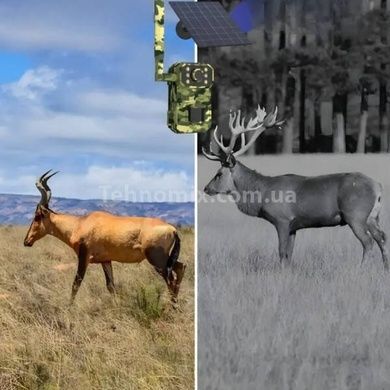 Камера видеонаблюдения охотничья фотоловушка на солнечной панели с датчиком движения 4G A8-T31 Камуфляжная