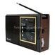 Радіоприймач акумуляторний Golon RX-9933UAR, USB, SD програвач