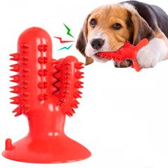 Іграшка для собак Bronzedog PetFun Dental кактус на присосці Червоний