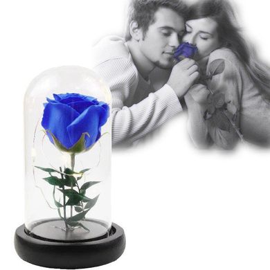 Роза в колбі з LED підсвічуванням маленька №A51 Синя