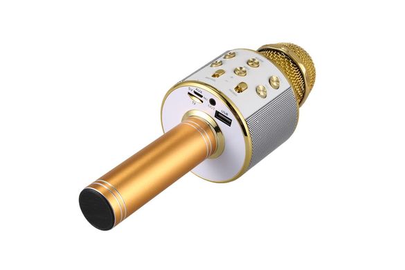 Караоке - мікрофон WS 858 microSD FM радіо Золотий