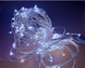 Гирлянда роса Конский Хвост 200LED RD-9017 10 LED Белый