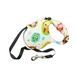 Поводок-рулетка 5м Retractable Dog Leash Животные