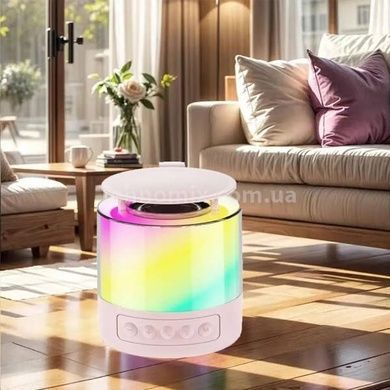 Колонка портативна з 2 караоке мікрофонами Bluetooth LED К19