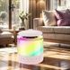 Колонка портативна з 2 караоке мікрофонами Bluetooth LED К19