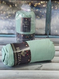Простирадло на гумці (160х200см) з наволочками (50х70см) Belizza Mint Фланель Бавовна