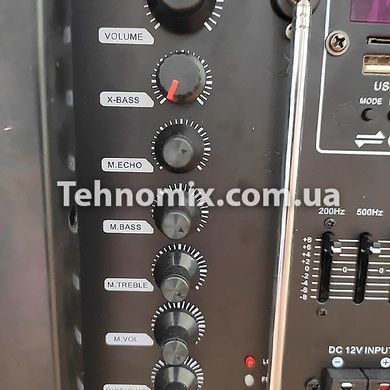 Бездротова акустична система Goldteller GT-6067 120Вт