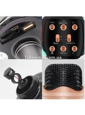 Микрофон караоке DM Karaoke WS 2911 Черный