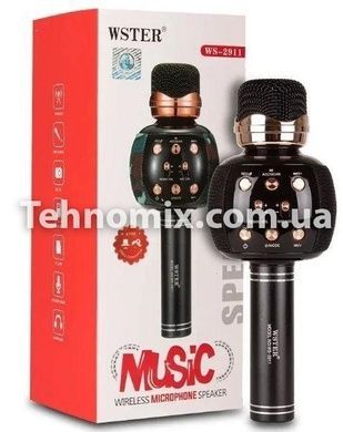 Микрофон караоке DM Karaoke WS 2911 Черный