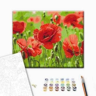 Картина за номерами Червоні маки BS53703
