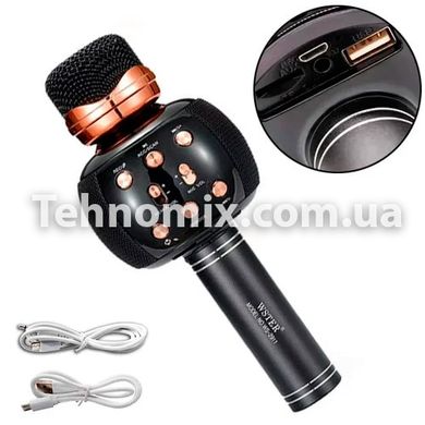 Мікрофон караоке Karaoke DM WS 2911 Чорний